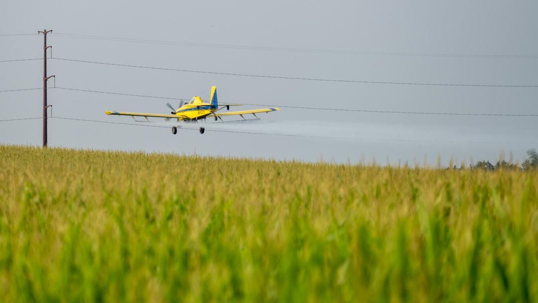 crop dusting with pesticide